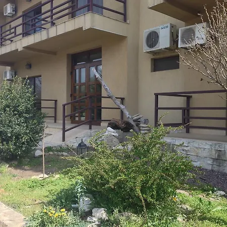 Гостьовий будинок Vila Casa Andrei-maria